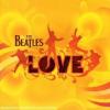 The Beatles - Love