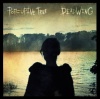 Deadwing (2005)