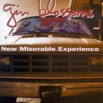 New Miserable Experience (04.08.1992)